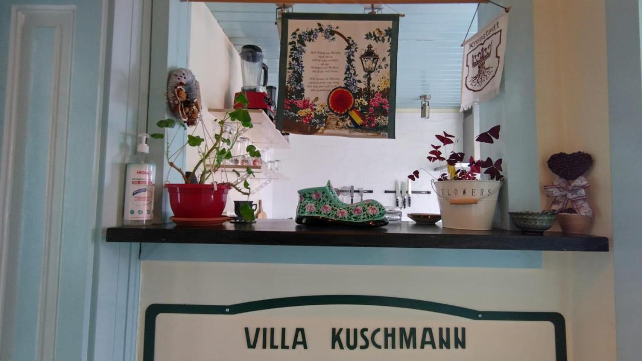 Villa Kuschmann Брашов Екстер'єр фото